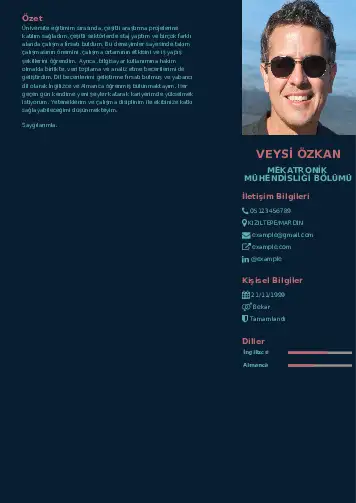 Mekatronik Mühendisliği Cv Örnekleri cv indir